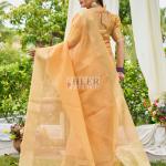 Puma saree